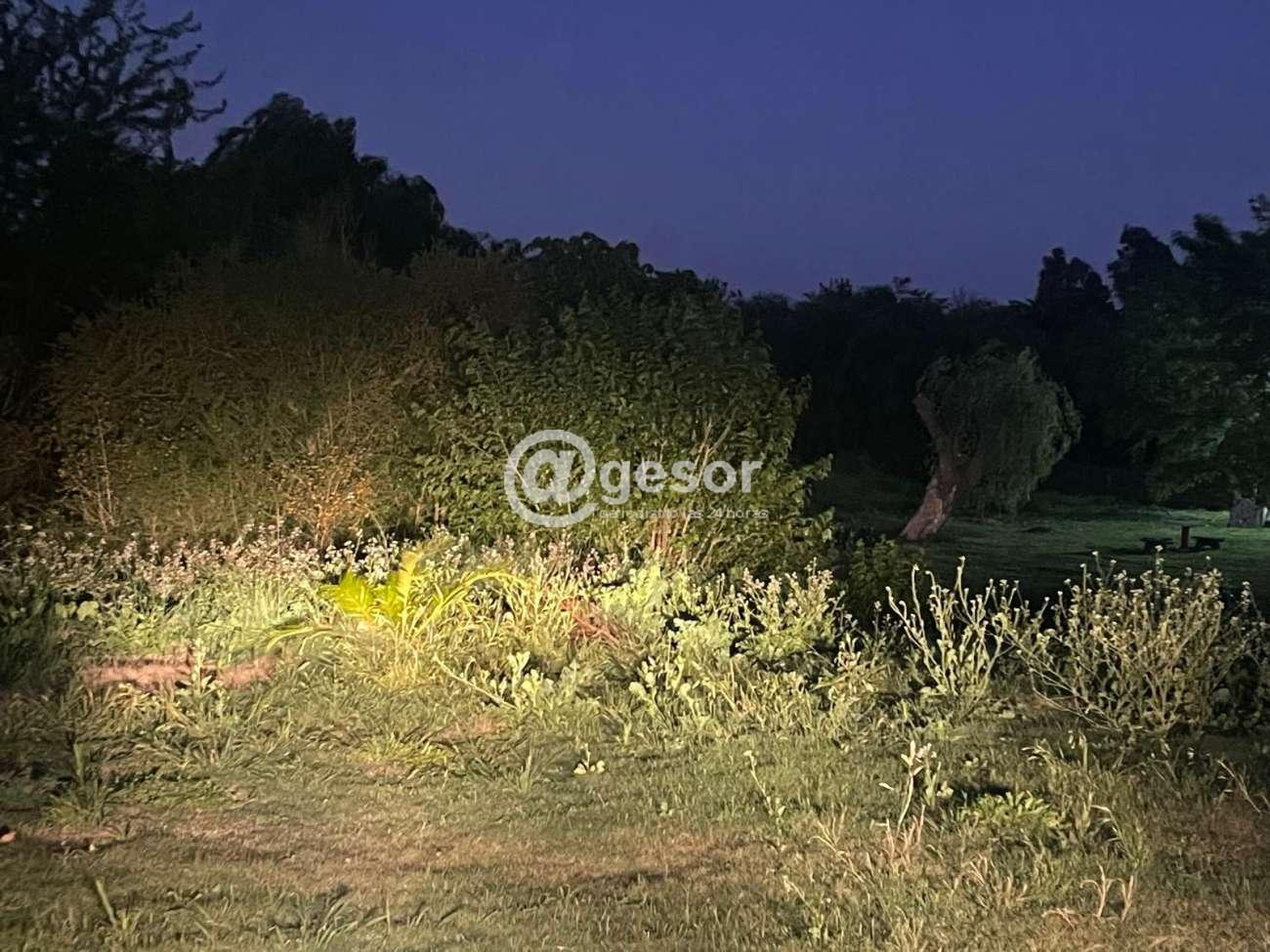 Image2